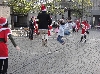 DSC01997.jpg