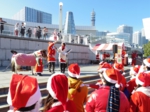 IMGP3833.jpg